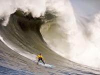 IM电竞官网入口-跨越赛场的王者时刻，从黄蜂生死战到欧冠半决赛的统治力绽放