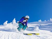 IM电竞投注平台-鹈鹕之喙，当英格拉姆在抢七之夜啄开命运的硬壳