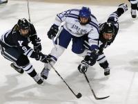 IM电竞官方入口-陈雨菲扛鼎，日本队险胜印尼队背后的团队博弈与个人英雄主义