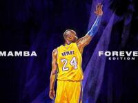 IM英雄联盟竞猜-拉沃尔杯力克温网？纳达尔点燃赛场背后的网球新纪元