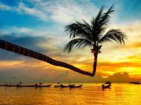 IM竞技体育平台-国内球队在洲际舞台上迈出关键一步