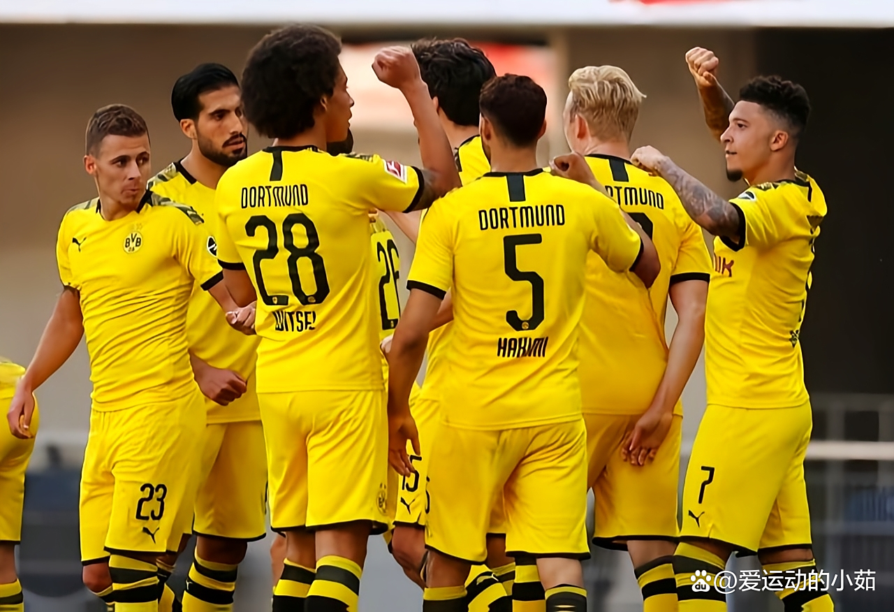 厄瓜多尔足球选手备战南非大赛，共享荣誉的简单介绍