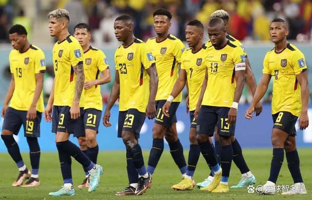 厄瓜多尔足球选手备战南非大赛，共享荣誉的简单介绍