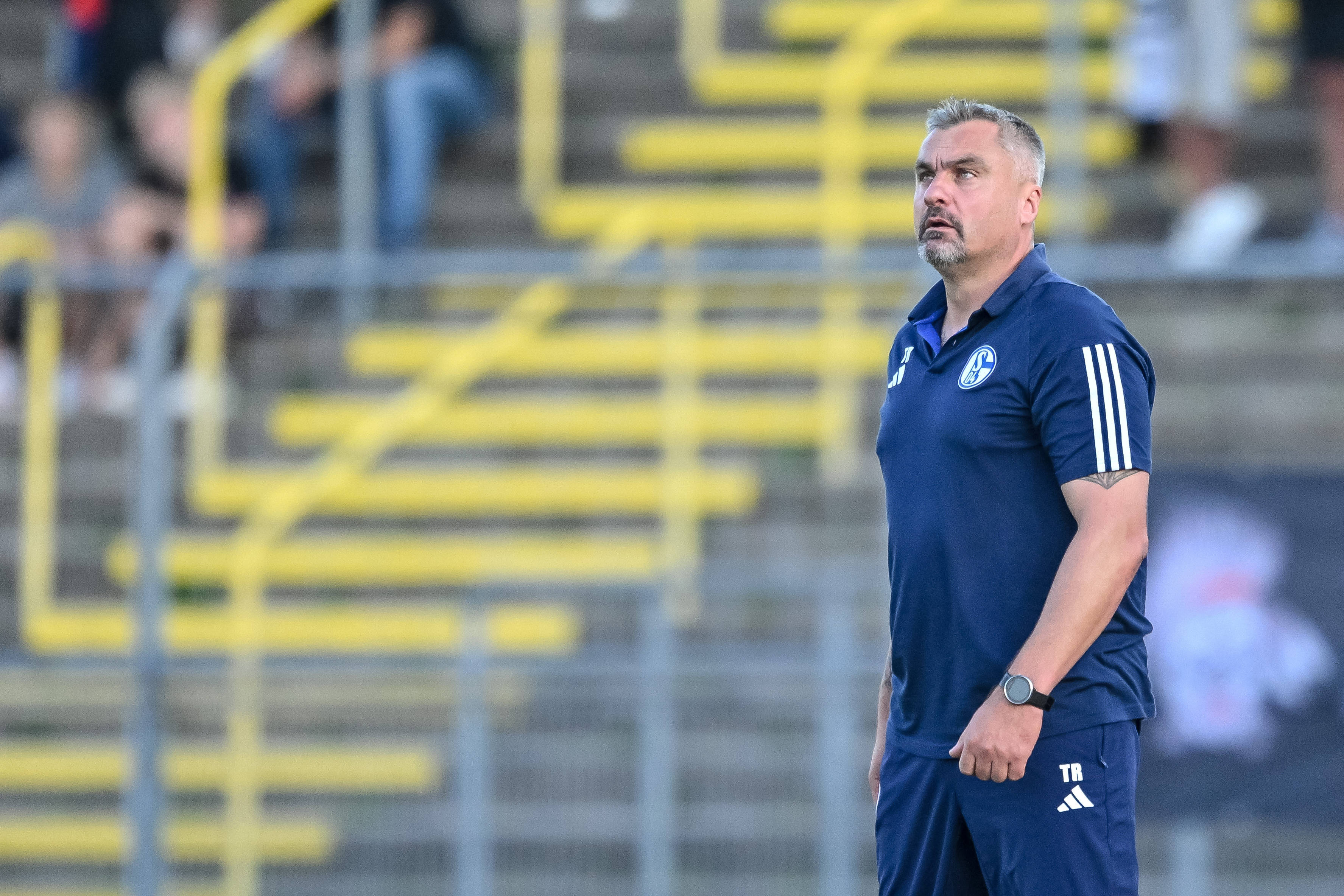 沙尔克备战成功，关键比赛迫在眉睫的简单介绍