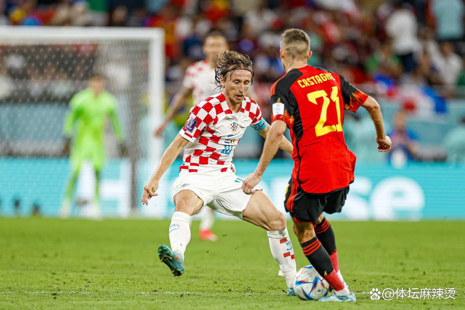 科尔切斯特联战平对手，表现平稳的简单介绍